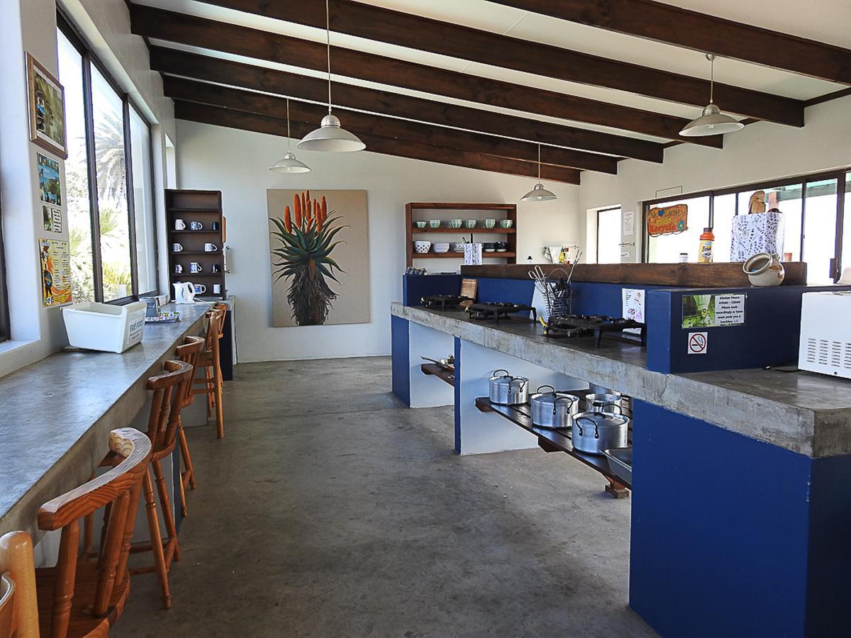 Mosselbay Backpackers Vandrehjem Mossel Bay Eksteriør billede