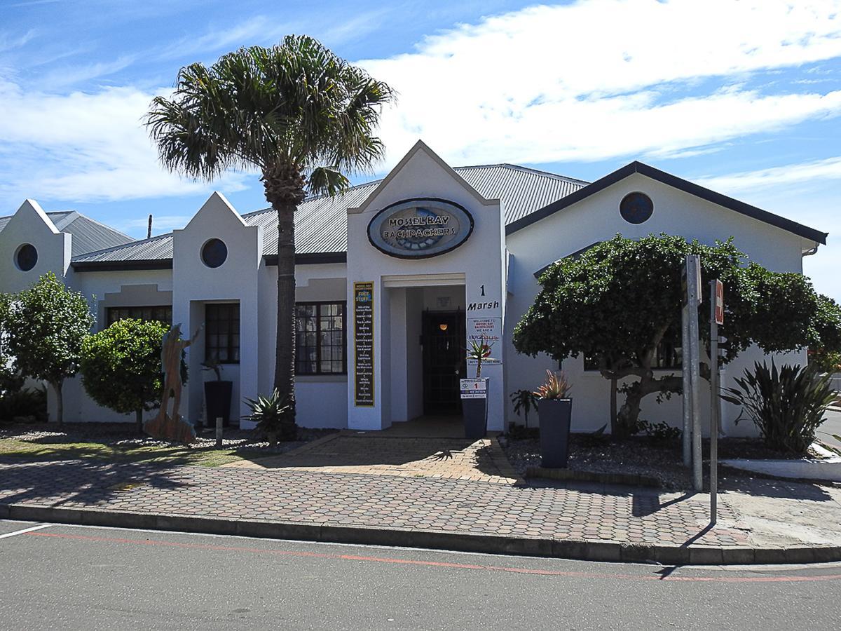 Mosselbay Backpackers Vandrehjem Mossel Bay Eksteriør billede