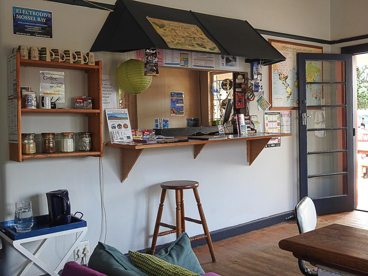 Mosselbay Backpackers Vandrehjem Mossel Bay Eksteriør billede