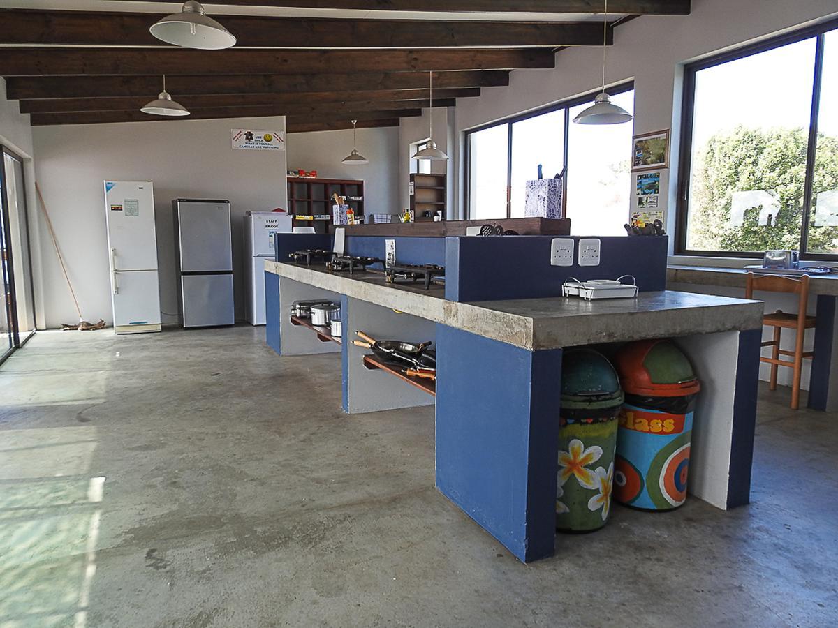 Mosselbay Backpackers Vandrehjem Mossel Bay Eksteriør billede